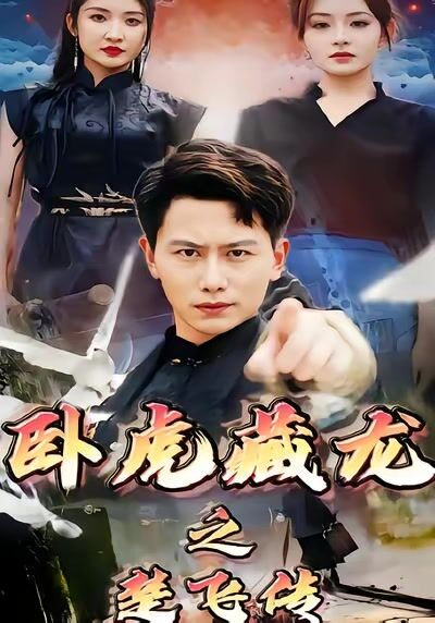 卧虎藏龙之楚飞传