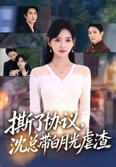 撕了协议，沈总带白月光虐渣
