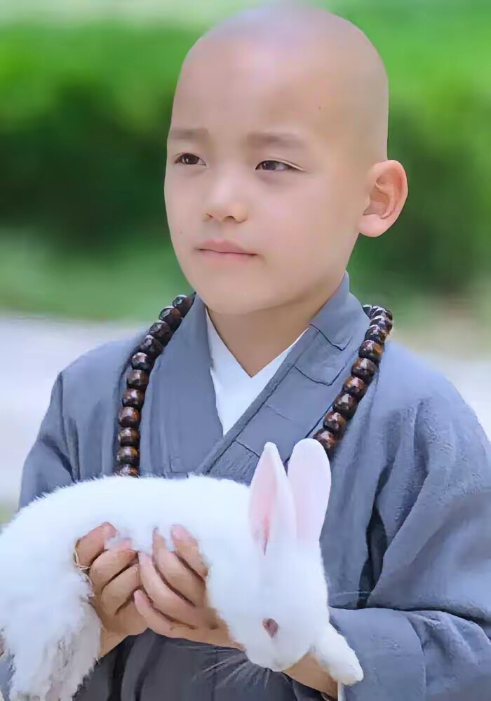 《少林萌寶闖江湖》劇照