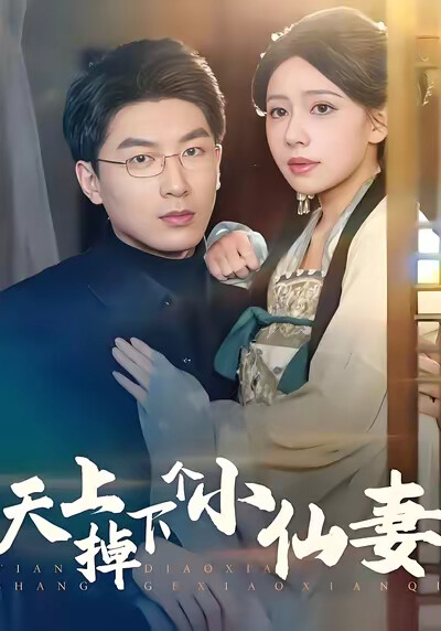 《天上掉下個小仙妻》劇照