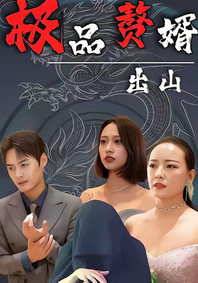 《極品贅婿出山》劇照