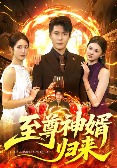 《至尊神婿歸來》劇照