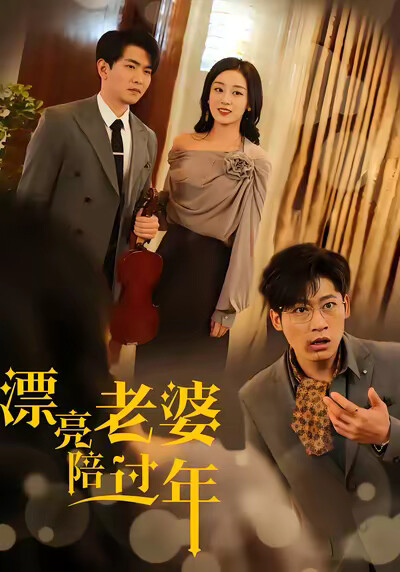 《漂亮老婆陪過年》劇照