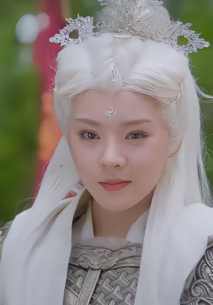 《臥虎藏龍之氣吞山河》劇照