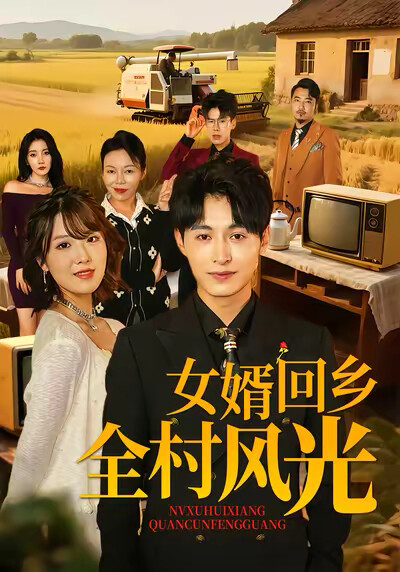 《女婿回鄉全村風光》劇照
