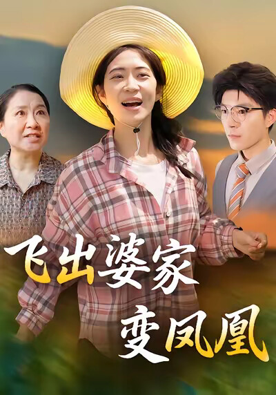 《飛出婆家變鳳凰》劇照