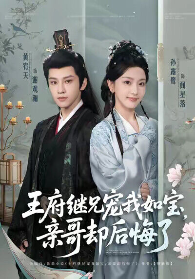 《王府继兄宠我如宝，亲哥却后悔了》剧照