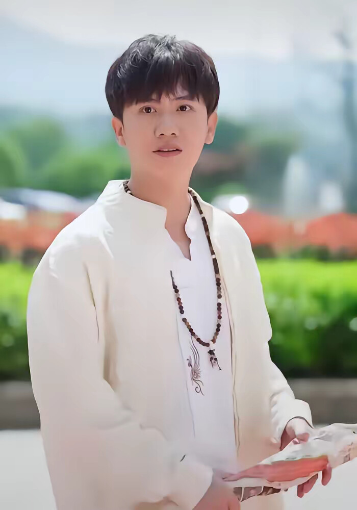 《臥虎藏龍之氣吞山河》劇照