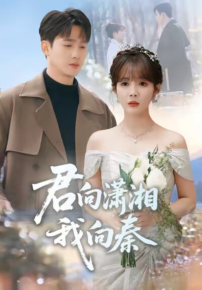 《君向瀟湘，我向秦》劇照