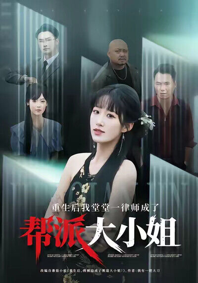 《重生後我堂堂一律師成了幫派大小姐》劇照