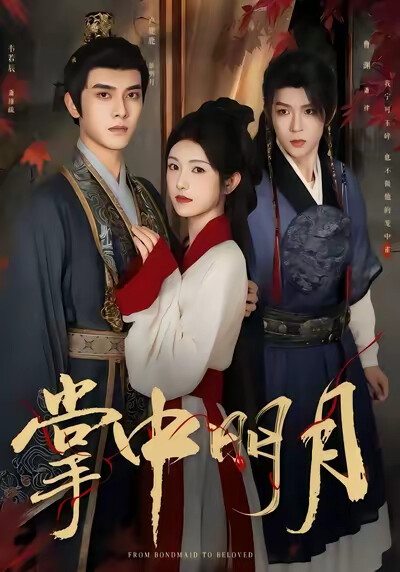 《掌中明月》劇照