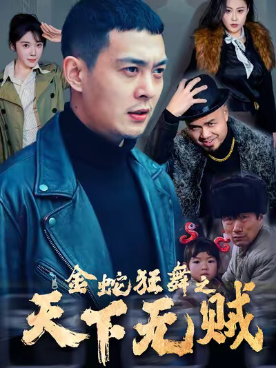 《金蛇狂舞之天下無賊》劇照