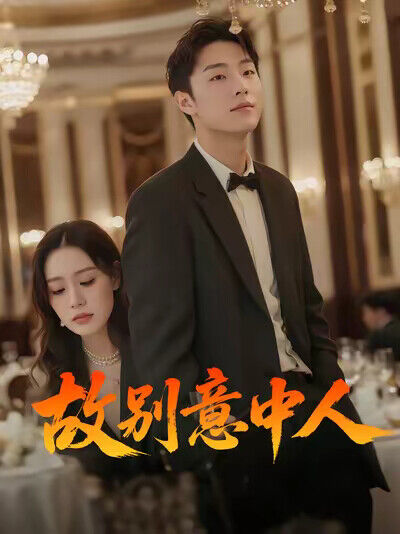 《故别意中人》剧照