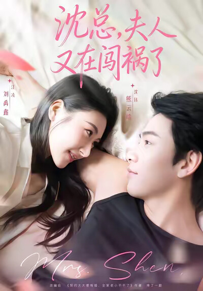 《沈總，夫人又在闖禍了》劇照