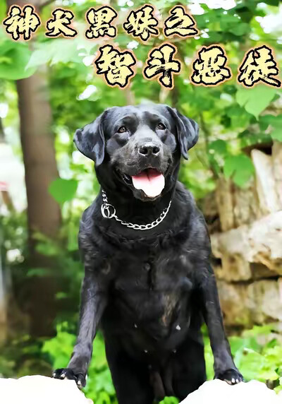 《神犬黑妹之智鬥惡徒》劇照