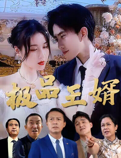 《極品王婿》劇照