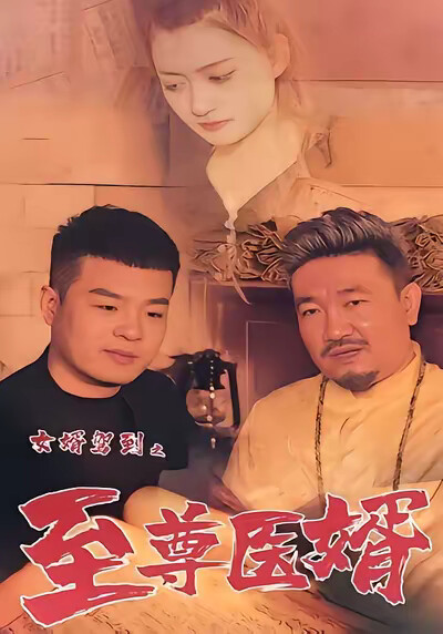 《女婿駕到之至尊醫婿》劇照