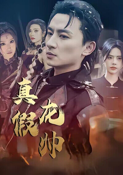 《真假龙帅》剧照
