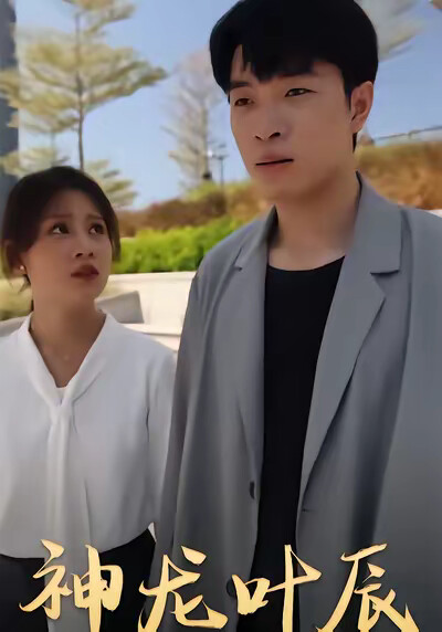 《神龍葉辰》劇照