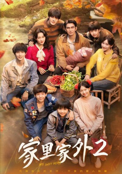 《家里家外2》剧照