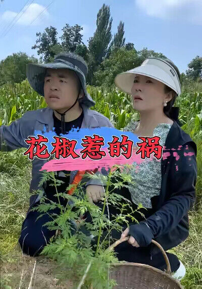 《花椒惹的祸》剧照