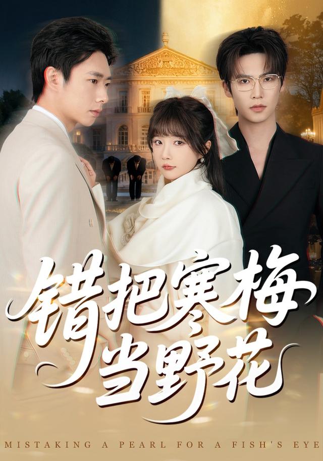 《錯把寒梅當野花》劇照