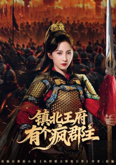 《镇北王府有个疯郡主》剧照