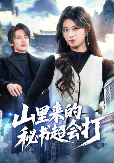《山里来的秘书超会打》剧照