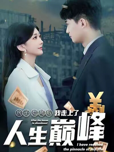 《房子爛尾後我走上了人生巔峰》劇照