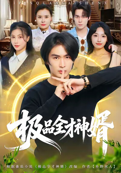 《極品全才神婿》劇照