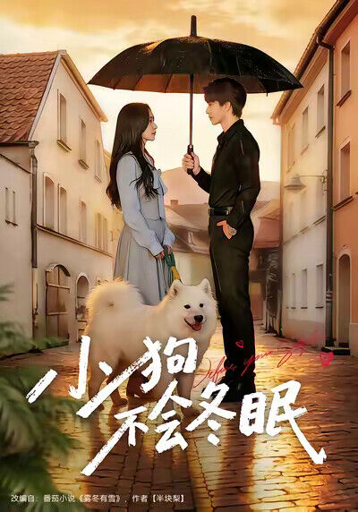 《小狗不会冬眠》剧照