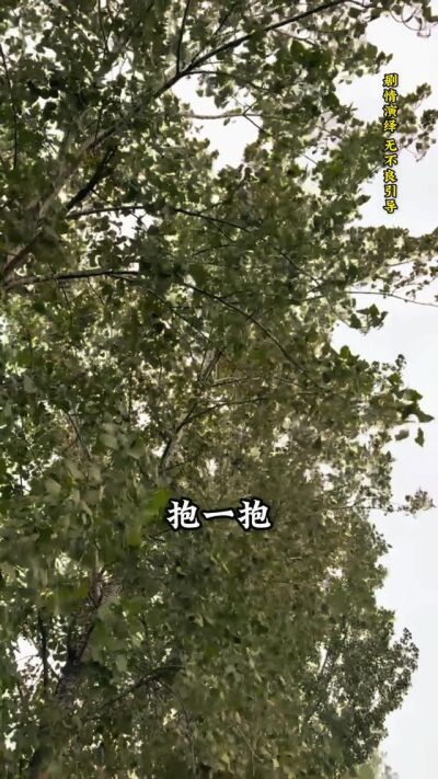《我家有喜》剧照