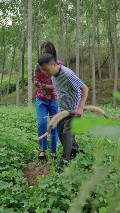《鼠怨》劇照