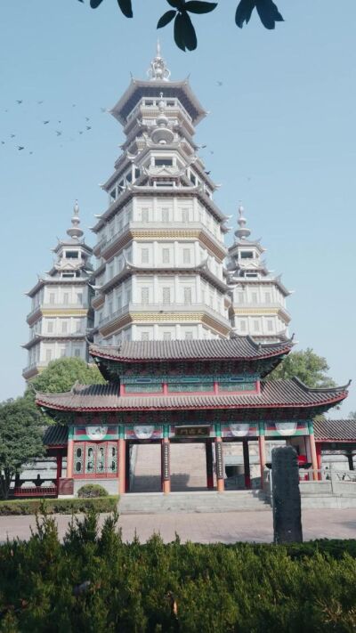 《吾家长姐镇山河》剧照