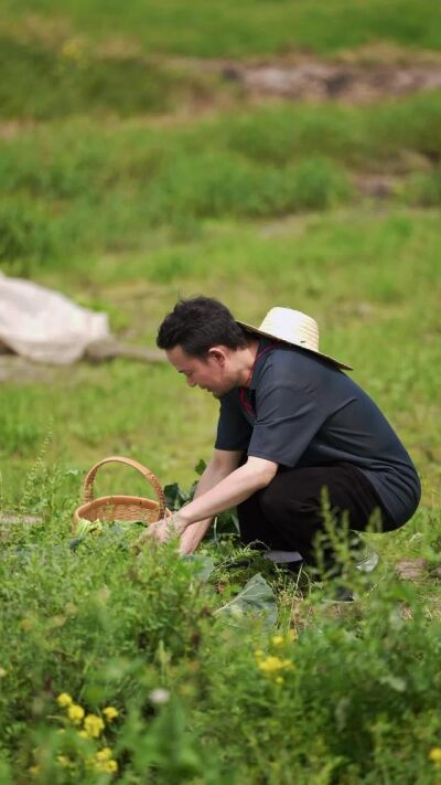 《舊鈔裡的父愛》劇照