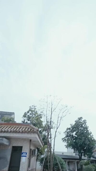 《一念分岔，各自殊途》劇照