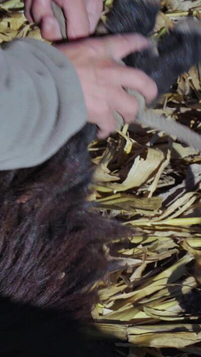 《邪惡的黑山羊》劇照