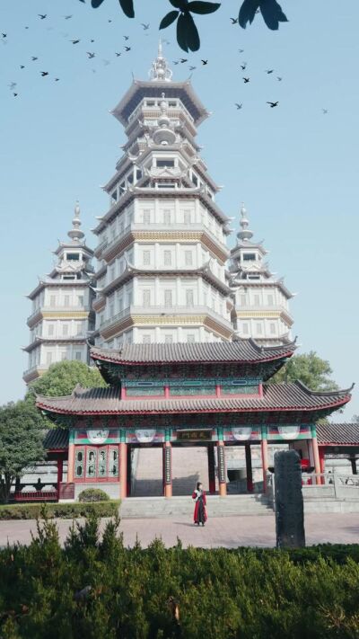 《吾家长姐镇山河》剧照