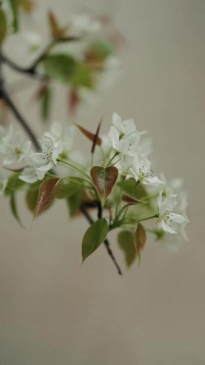 《大山下的情缘》剧照