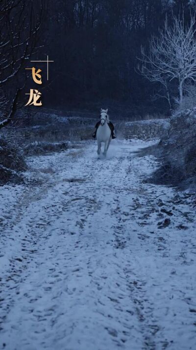 《战马沉冤》剧照