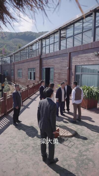 《分手後我成了香竹林高山古樹茶王》劇照