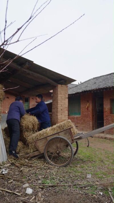 《我的兄弟姐妹》劇照