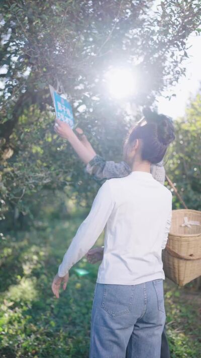 《分手後我成了香竹林高山古樹茶王》劇照