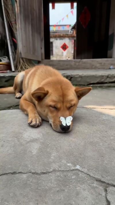 《装穷回家，亲戚悔青肠子》剧照