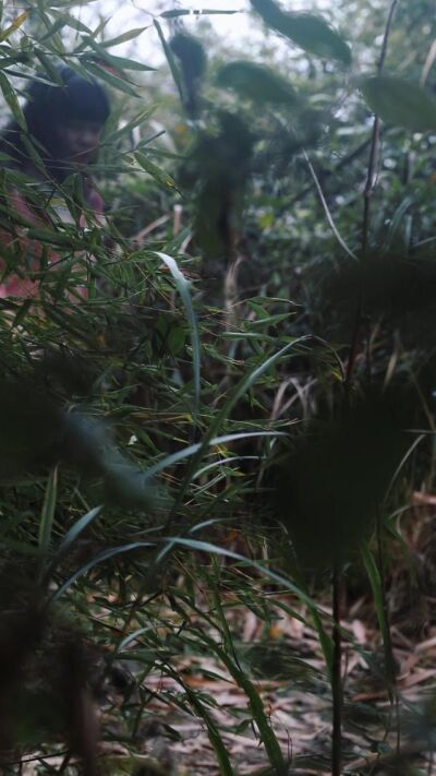 《缘错又情长》剧照