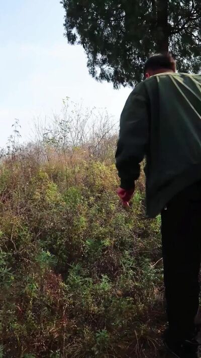 《山中巨物》劇照