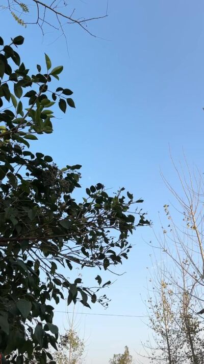 《俺娘秀莲》剧照