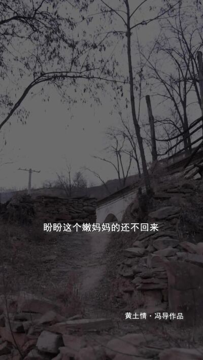 《为甚不回家》剧照