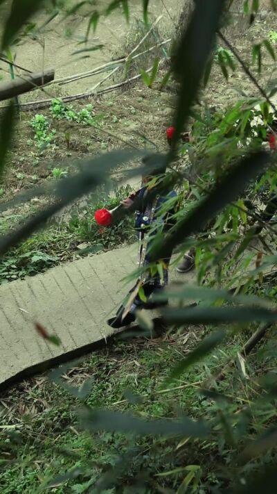 《她在山水逢缘》剧照