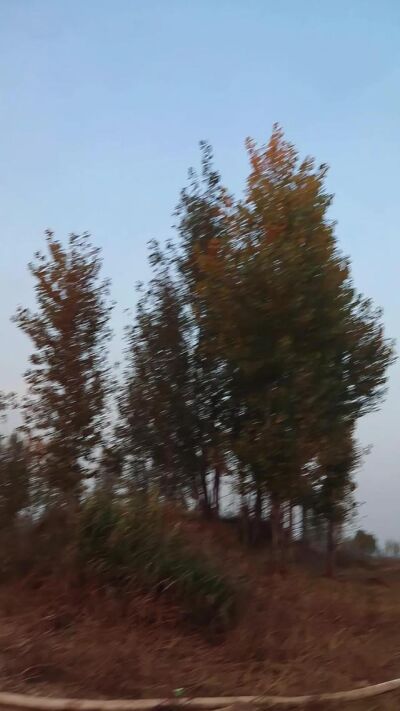 《野釣巨影》劇照